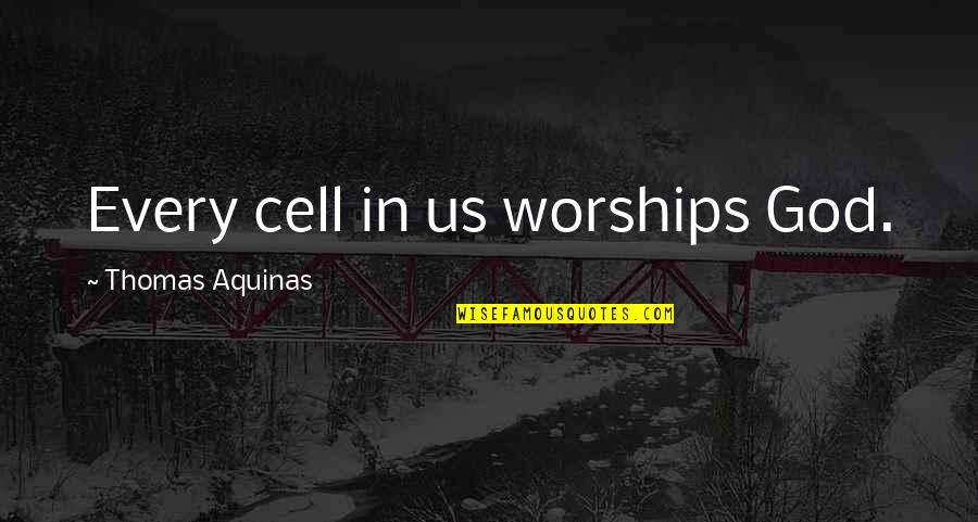 Nspresso Quotes By Thomas Aquinas: Every cell in us worships God.