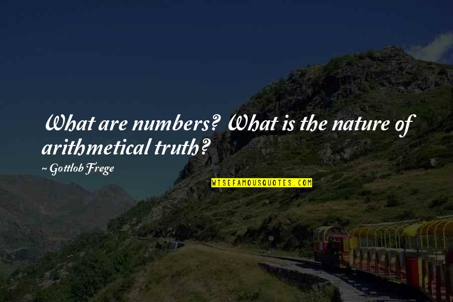 Numbers In Nature Quotes By Gottlob Frege: What are numbers? What is the nature of