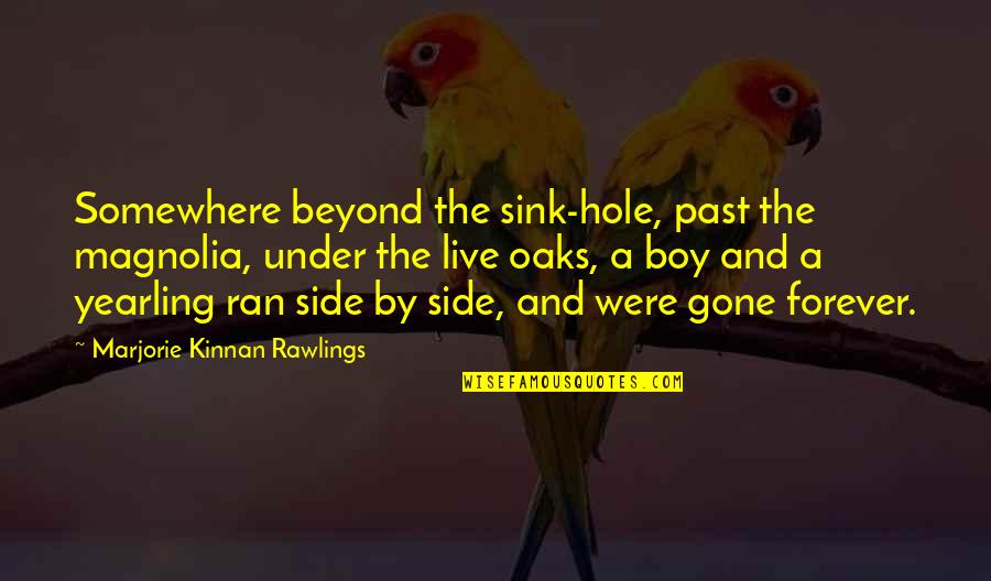 Nunamaker Construction Quotes By Marjorie Kinnan Rawlings: Somewhere beyond the sink-hole, past the magnolia, under