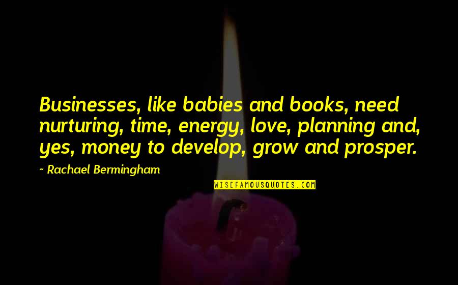 Nurturing Babies Quotes By Rachael Bermingham: Businesses, like babies and books, need nurturing, time,