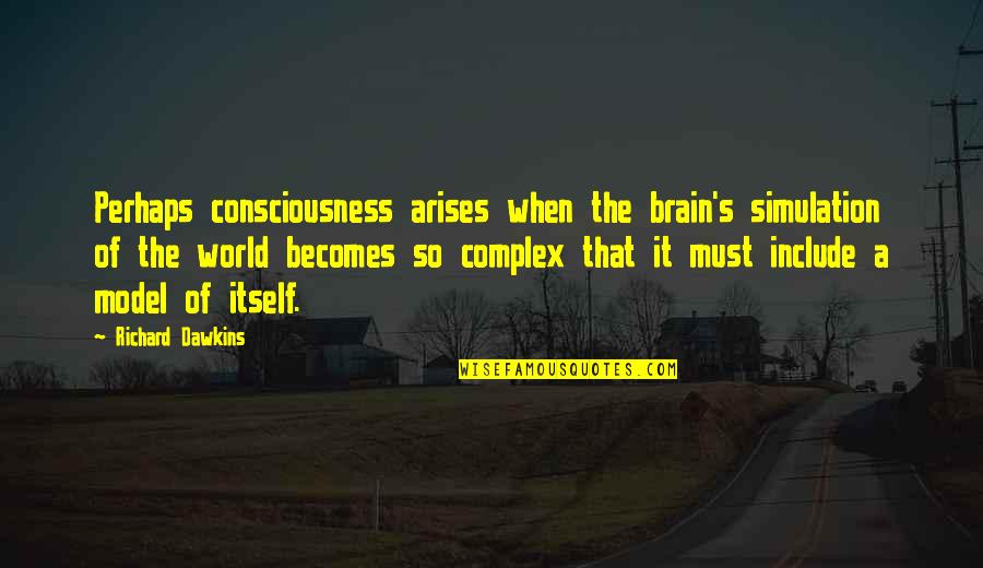 Nylon 66 Quotes By Richard Dawkins: Perhaps consciousness arises when the brain's simulation of