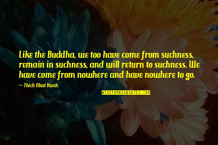 Obesogenico Quotes By Thich Nhat Hanh: Like the Buddha, we too have come from