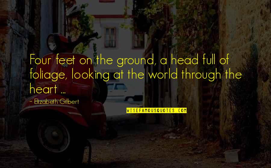 Obtain Three Quotes By Elizabeth Gilbert: Four feet on the ground, a head full