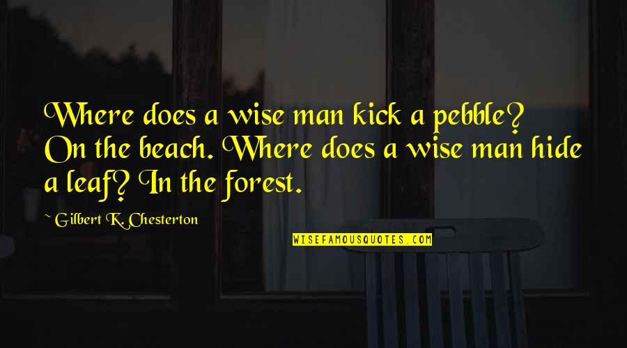 Ocean Beach Quotes By Gilbert K. Chesterton: Where does a wise man kick a pebble?