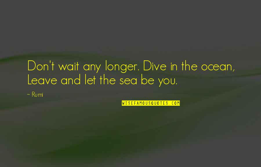 Ocean Sea Quotes By Rumi: Don't wait any longer. Dive in the ocean,