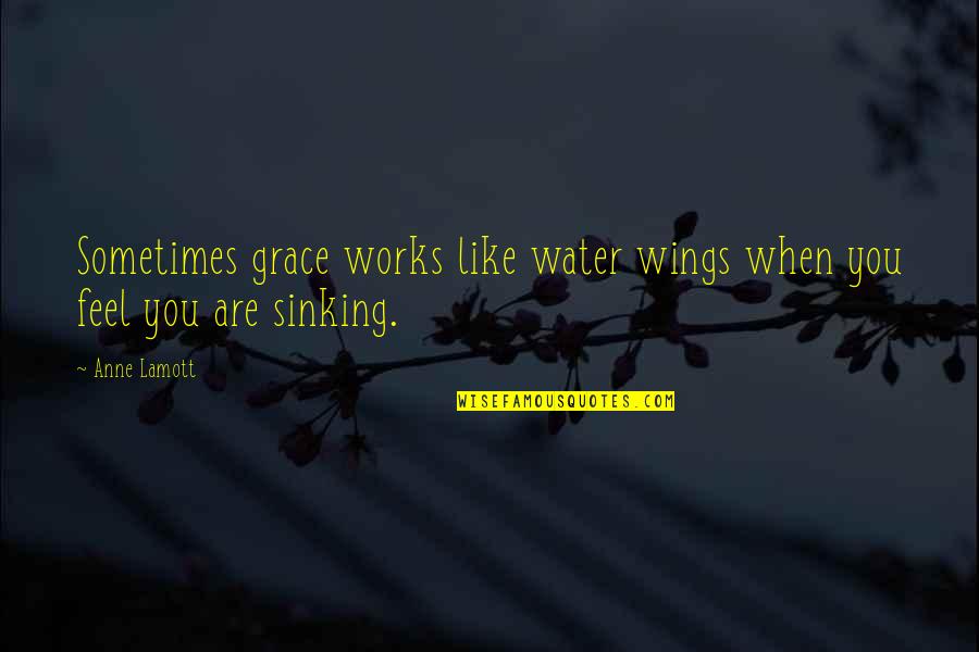 Ochiltree Quotes By Anne Lamott: Sometimes grace works like water wings when you