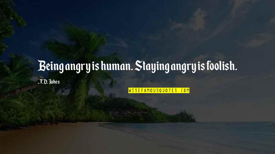 Oecd Jobs Quotes By T.D. Jakes: Being angry is human. Staying angry is foolish.