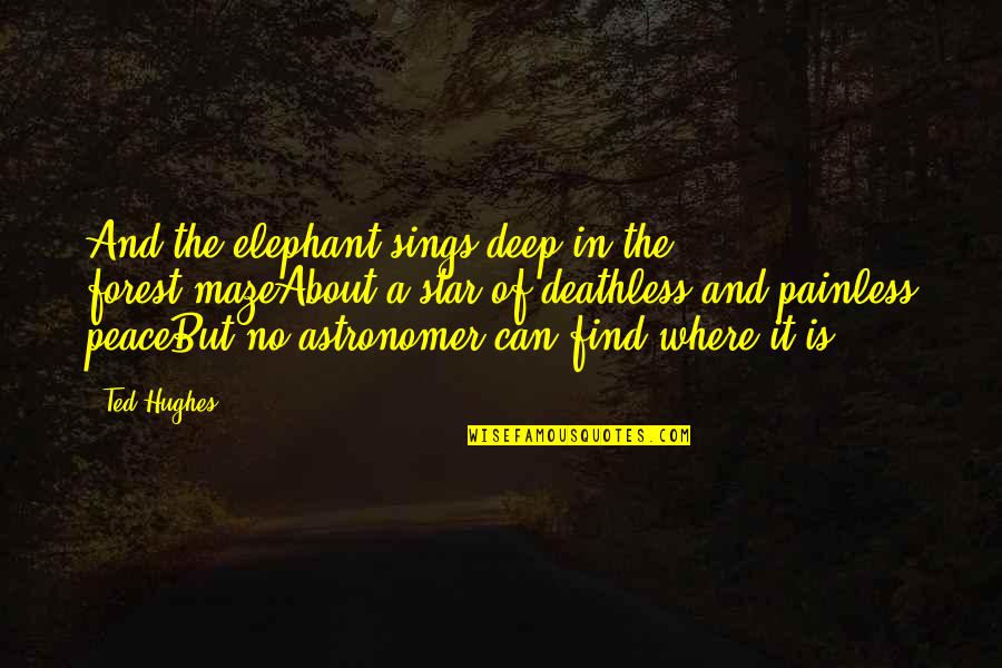 Office Leadership Quotes By Ted Hughes: And the elephant sings deep in the forest-mazeAbout