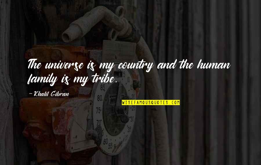 Ojibways Of Onigaming Quotes By Khalil Gibran: The universe is my country and the human