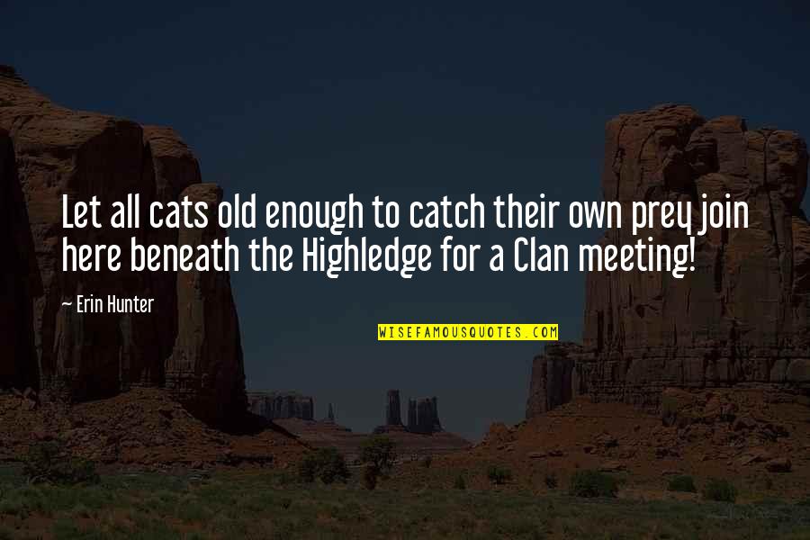 Old Enough Quotes By Erin Hunter: Let all cats old enough to catch their