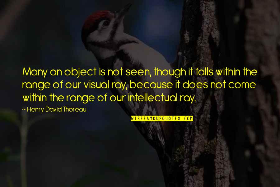 Olmaz Yle Quotes By Henry David Thoreau: Many an object is not seen, though it