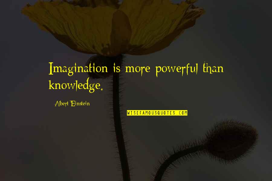 One In A Million Girl Quotes By Albert Einstein: Imagination is more powerful than knowledge.