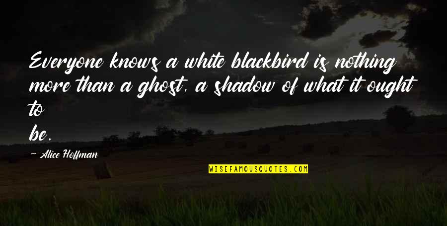 Only The Shadow Knows Quotes By Alice Hoffman: Everyone knows a white blackbird is nothing more