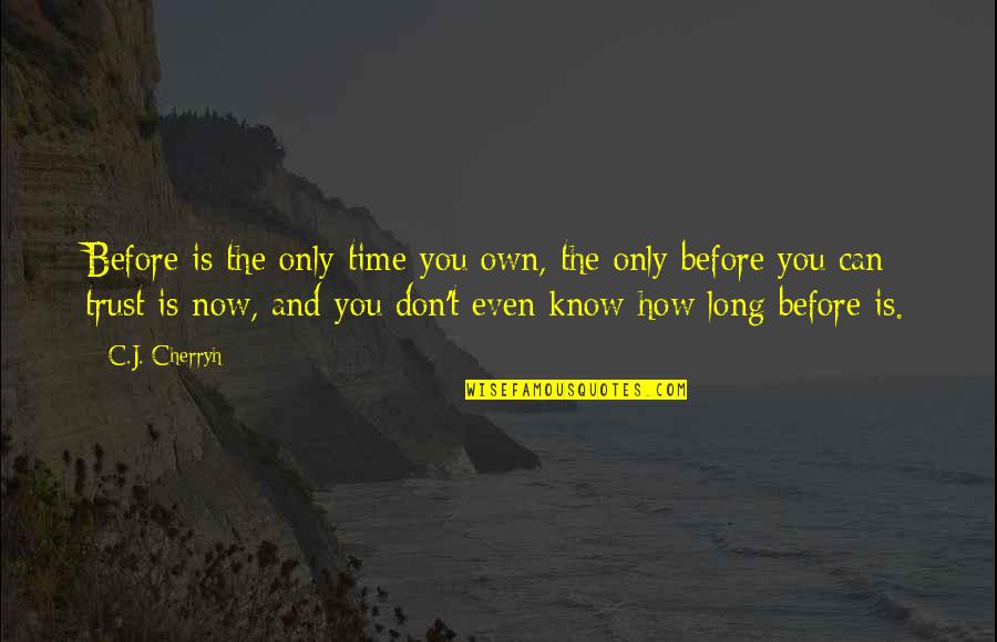 Only Time Is Now Quotes By C.J. Cherryh: Before is the only time you own, the