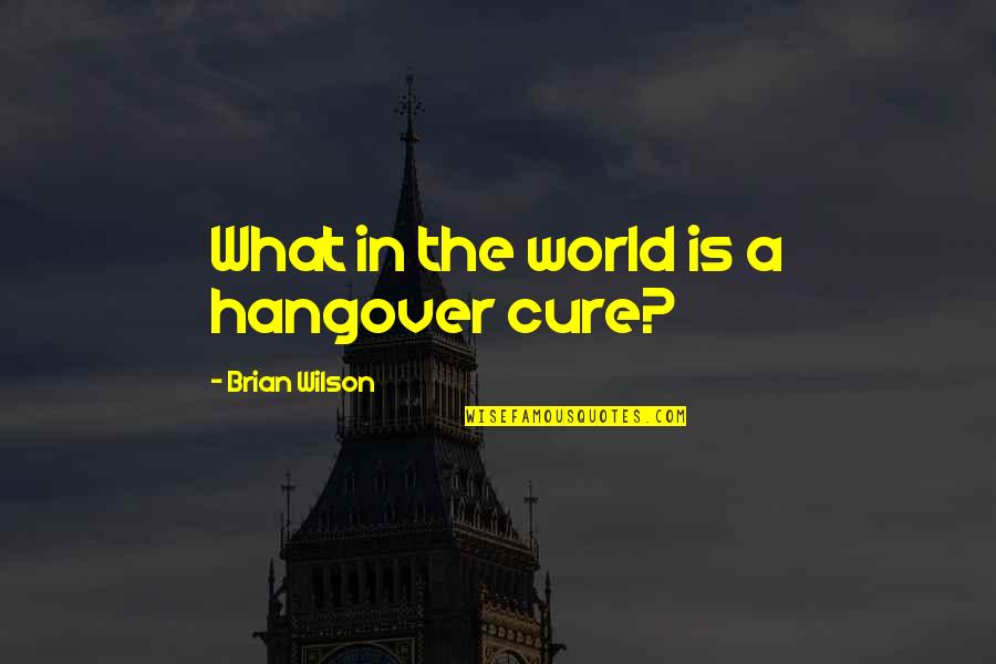 Opportunities And Beginnings Quotes By Brian Wilson: What in the world is a hangover cure?