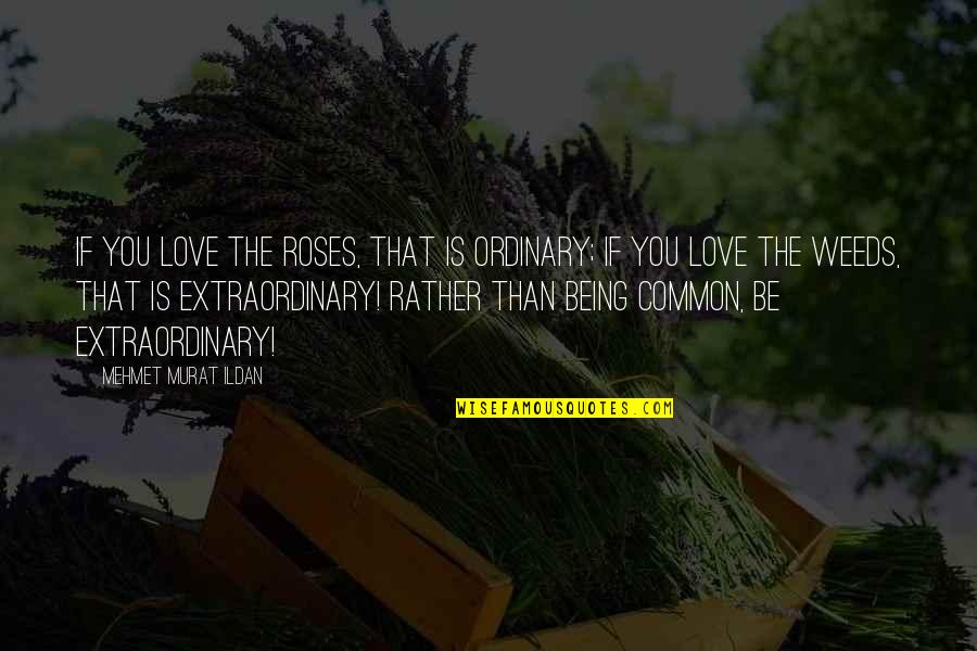 Ordinary Is Extraordinary Quotes By Mehmet Murat Ildan: If you love the roses, that is ordinary;