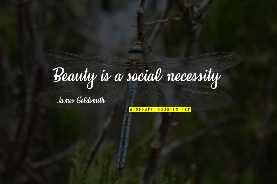 Organisaties Tegen Quotes By James Goldsmith: Beauty is a social necessity.