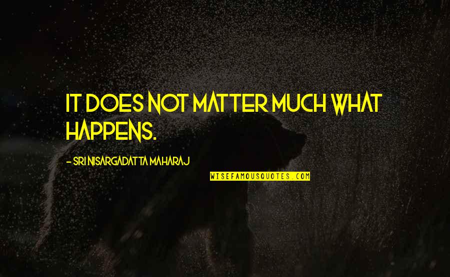 Organisaties Tegen Quotes By Sri Nisargadatta Maharaj: It does not matter much what happens.
