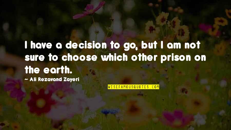 Ornamentation Synonym Quotes By Ali Rezavand Zayeri: I have a decision to go, but I
