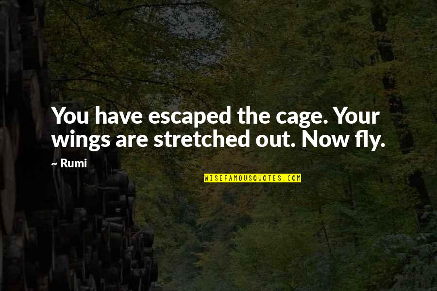 Osayande Lumumba Quotes By Rumi: You have escaped the cage. Your wings are