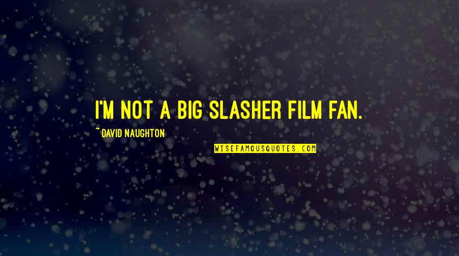 Ostiguy Ford Quotes By David Naughton: I'm not a big slasher film fan.