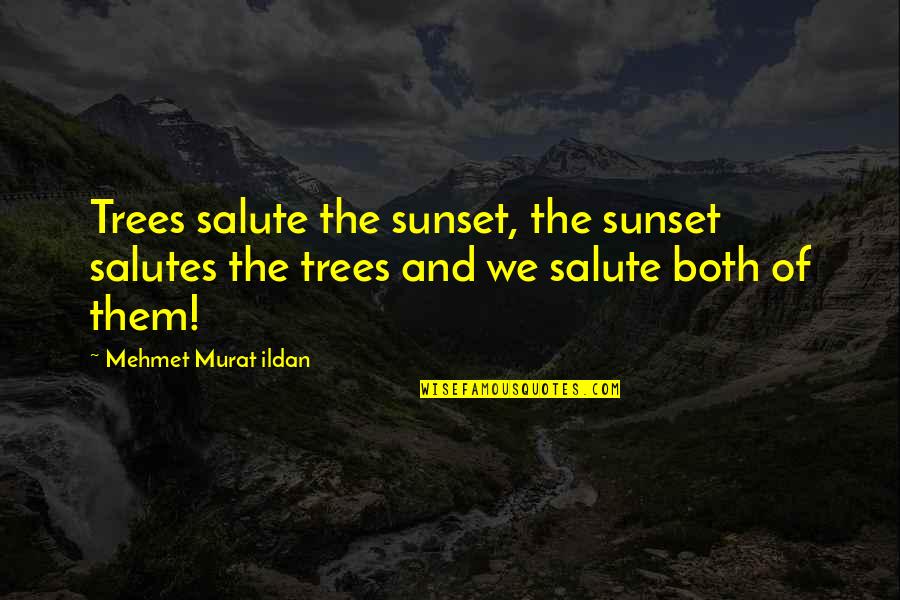 Ottoniel Chavajay Quotes By Mehmet Murat Ildan: Trees salute the sunset, the sunset salutes the