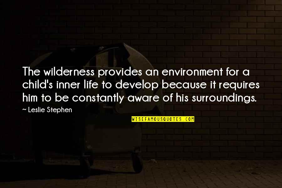 Our Inner Child Quotes By Leslie Stephen: The wilderness provides an environment for a child's