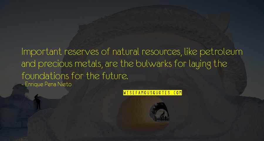 Our Natural Resources Quotes By Enrique Pena Nieto: Important reserves of natural resources, like petroleum and