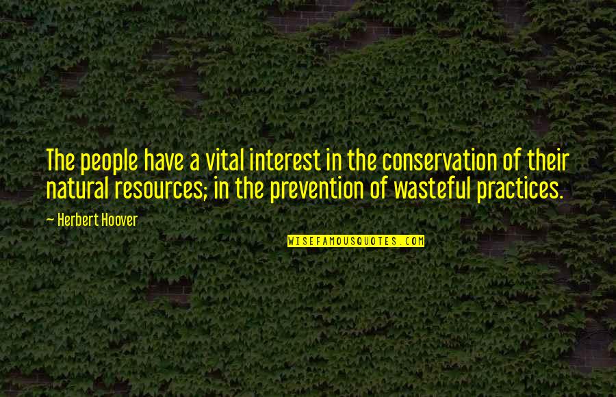 Our Natural Resources Quotes By Herbert Hoover: The people have a vital interest in the