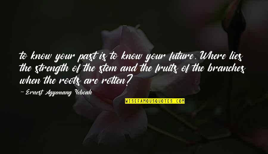 Our Past Life Quotes By Ernest Agyemang Yeboah: to know your past is to know your