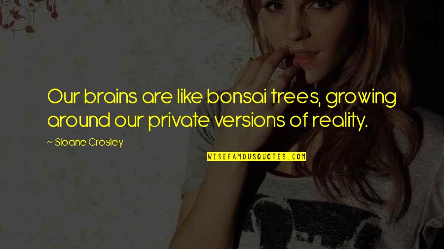 Our Trees Quotes By Sloane Crosley: Our brains are like bonsai trees, growing around