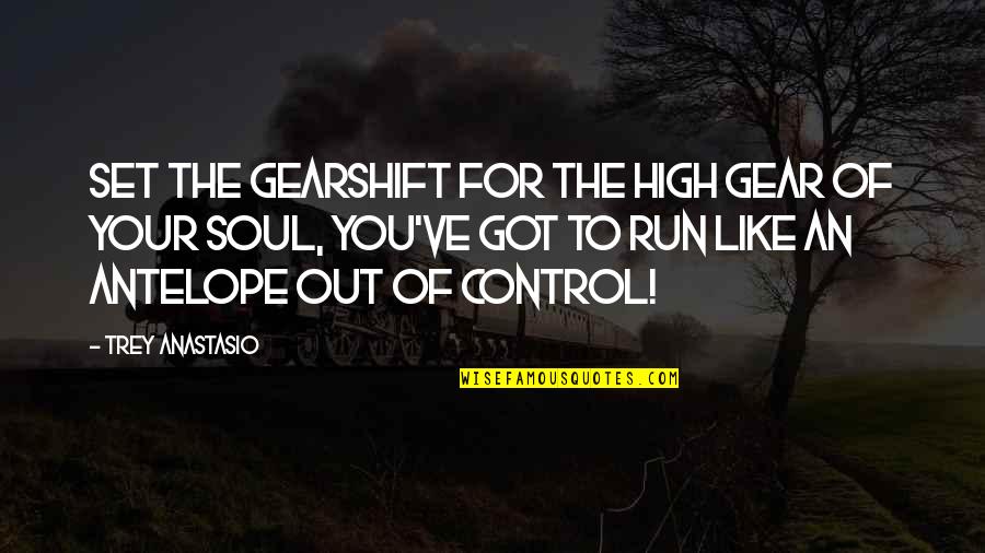 Out Of Your Control Quotes By Trey Anastasio: Set the gearshift for the high gear of