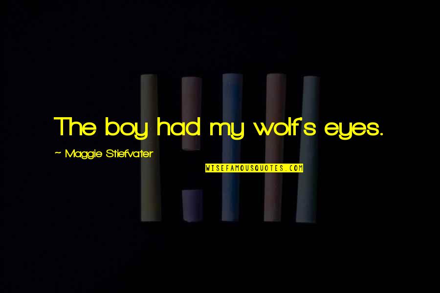 Overpainting Textured Quotes By Maggie Stiefvater: The boy had my wolf's eyes.