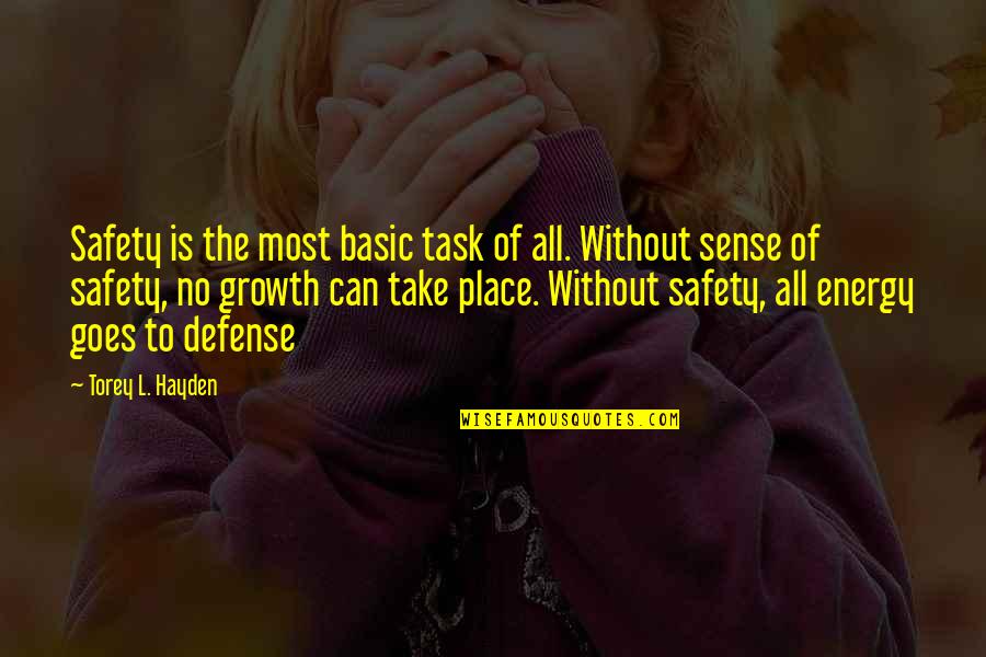 Ovunque Sei Quotes By Torey L. Hayden: Safety is the most basic task of all.