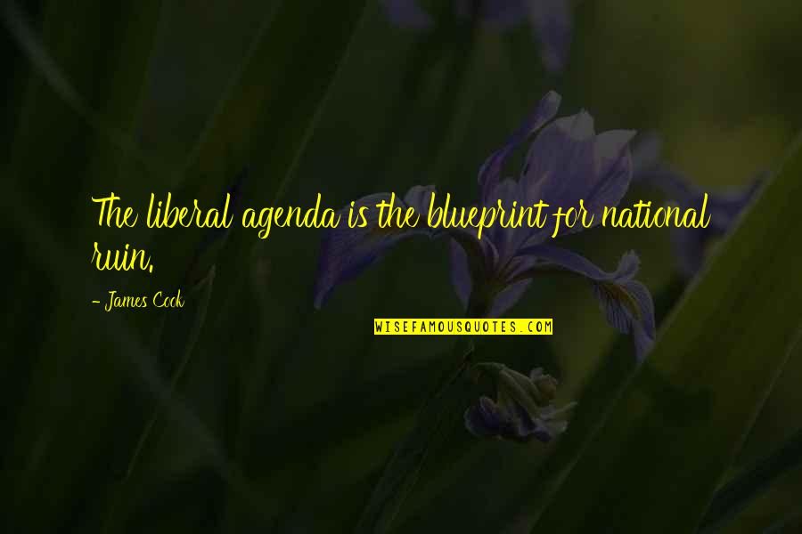 Own Agenda Quotes By James Cook: The liberal agenda is the blueprint for national