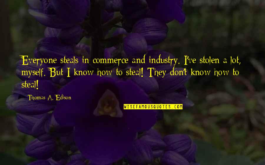 Ownyourlabs Quotes By Thomas A. Edison: Everyone steals in commerce and industry. I've stolen