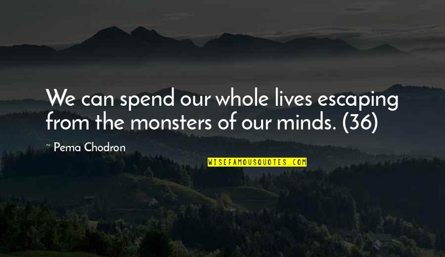 P 36 Quotes By Pema Chodron: We can spend our whole lives escaping from