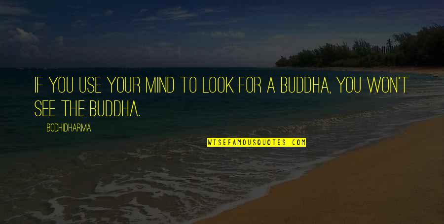 P Tschke Schwerte Quotes By Bodhidharma: If you use your mind to look for