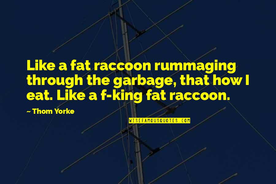 Pagarani International Quotes By Thom Yorke: Like a fat raccoon rummaging through the garbage,