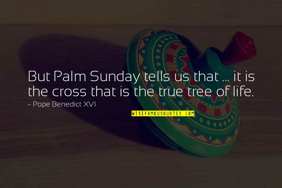 Palm Tree Quotes By Pope Benedict XVI: But Palm Sunday tells us that ... it