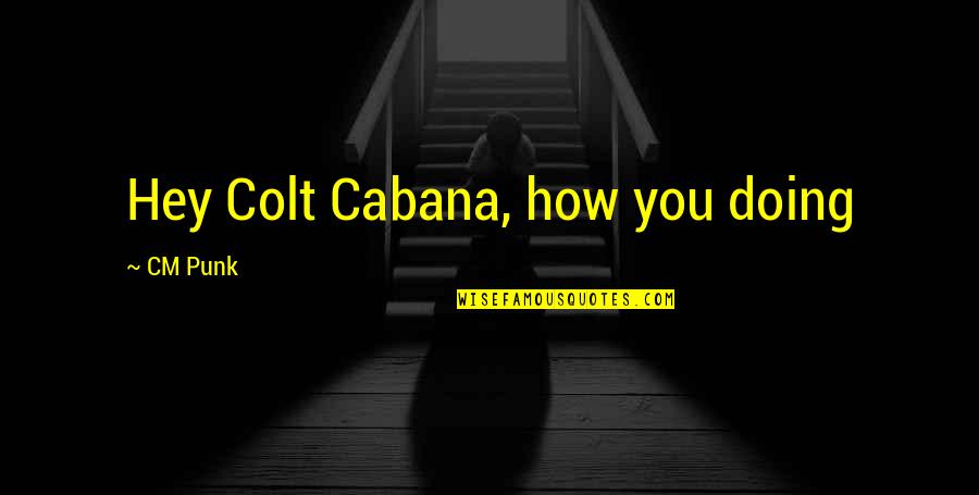 Pani Bachao Quotes By CM Punk: Hey Colt Cabana, how you doing