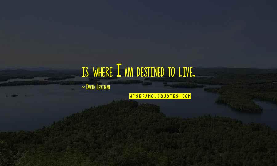 Panpeng 18 Quotes By David Levithan: is where I am destined to live.