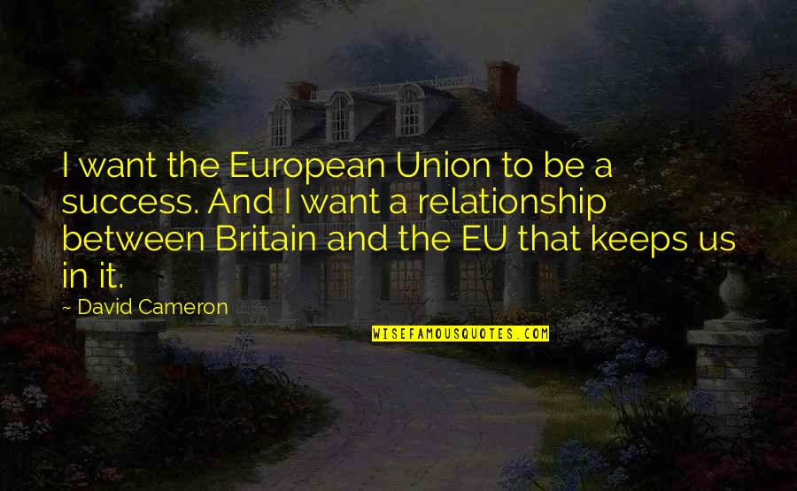 Panpsychism Quantum Quotes By David Cameron: I want the European Union to be a