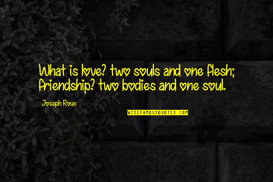 Pansements Colloidal Quotes By Joseph Roux: What is love? two souls and one flesh;