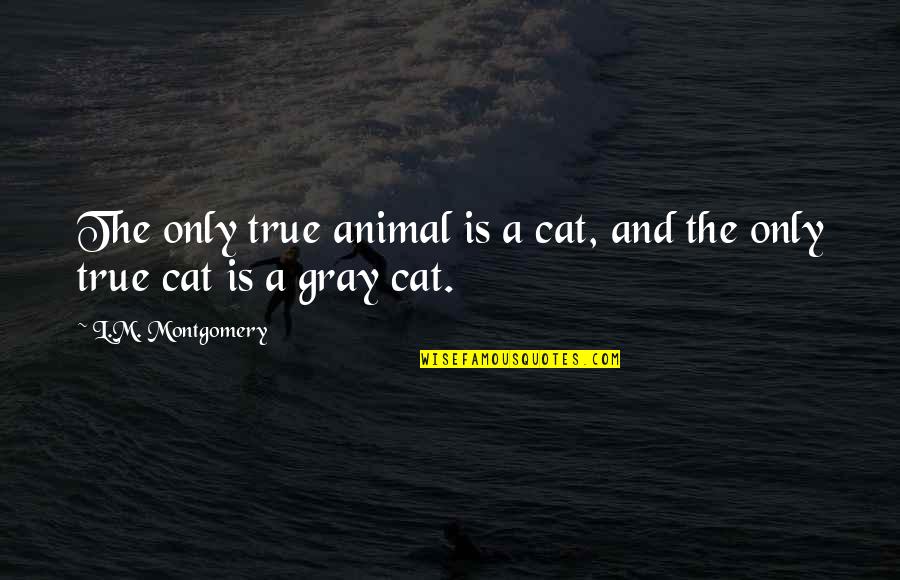 Pantaya Quotes By L.M. Montgomery: The only true animal is a cat, and