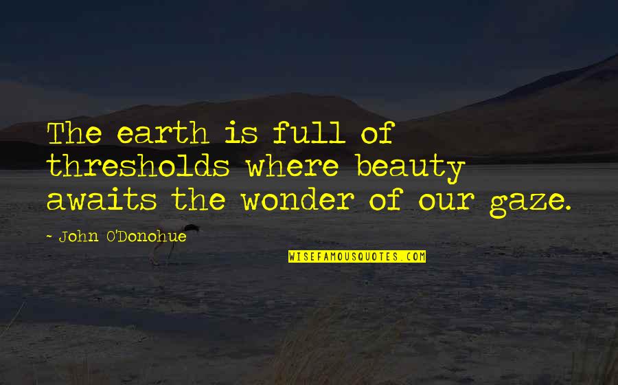 Pantelic Livnica Quotes By John O'Donohue: The earth is full of thresholds where beauty