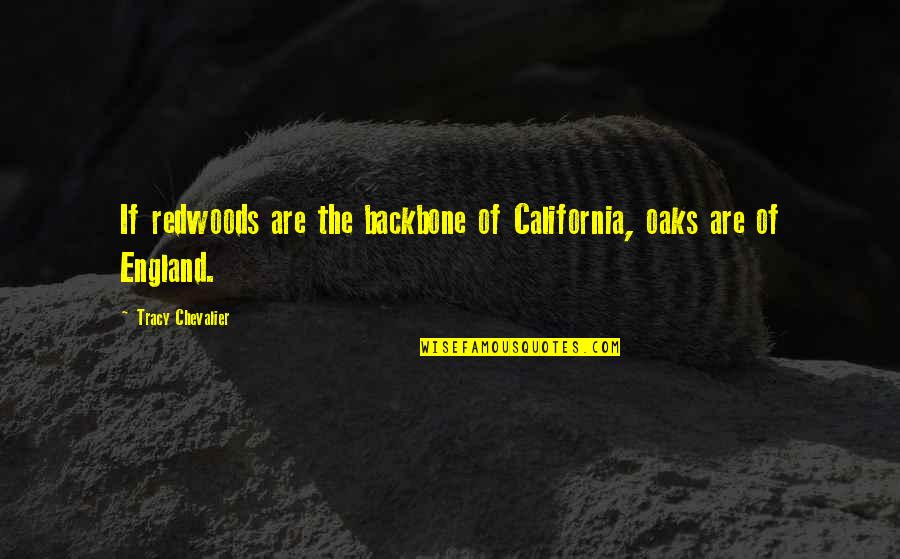 Paper Lace Greatest Quotes By Tracy Chevalier: If redwoods are the backbone of California, oaks