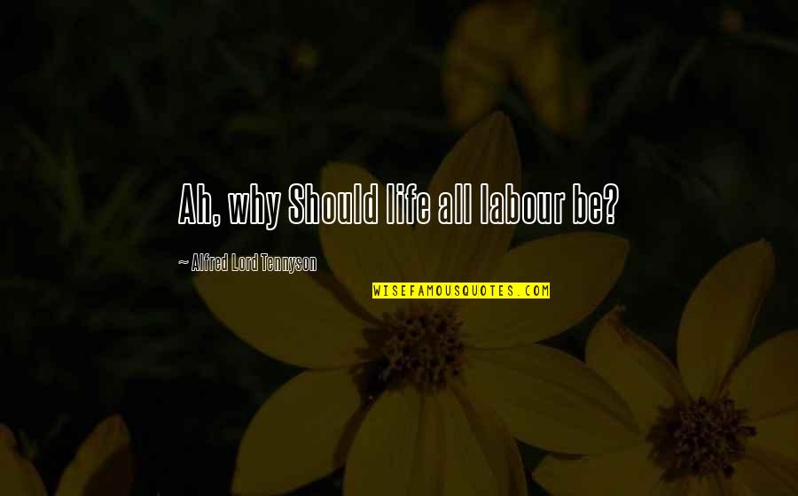 Paper Town Meaningful Quotes By Alfred Lord Tennyson: Ah, why Should life all labour be?