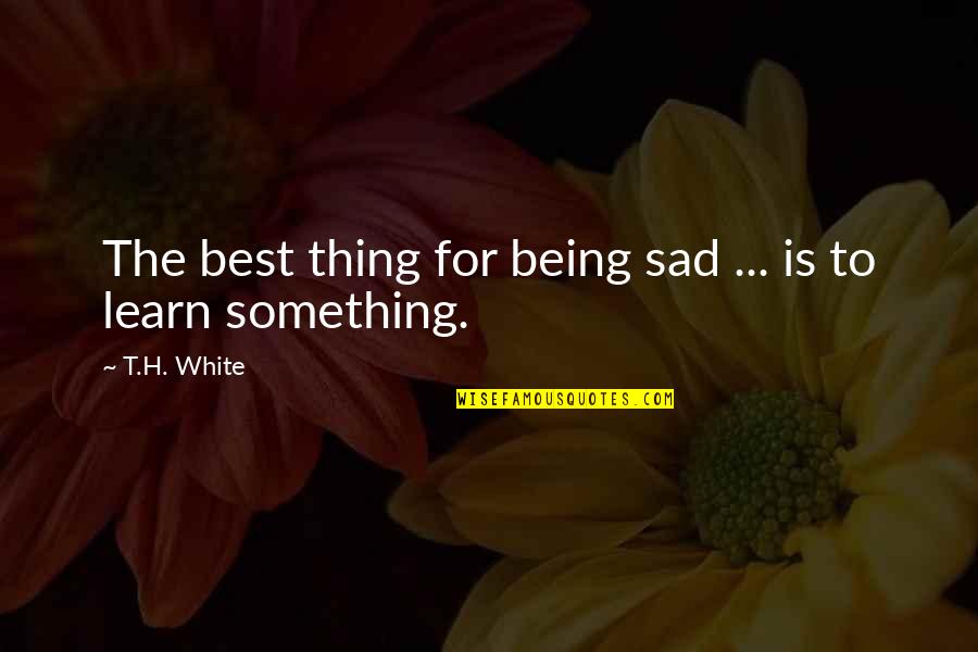 Park Jisung Nct Quotes By T.H. White: The best thing for being sad ... is