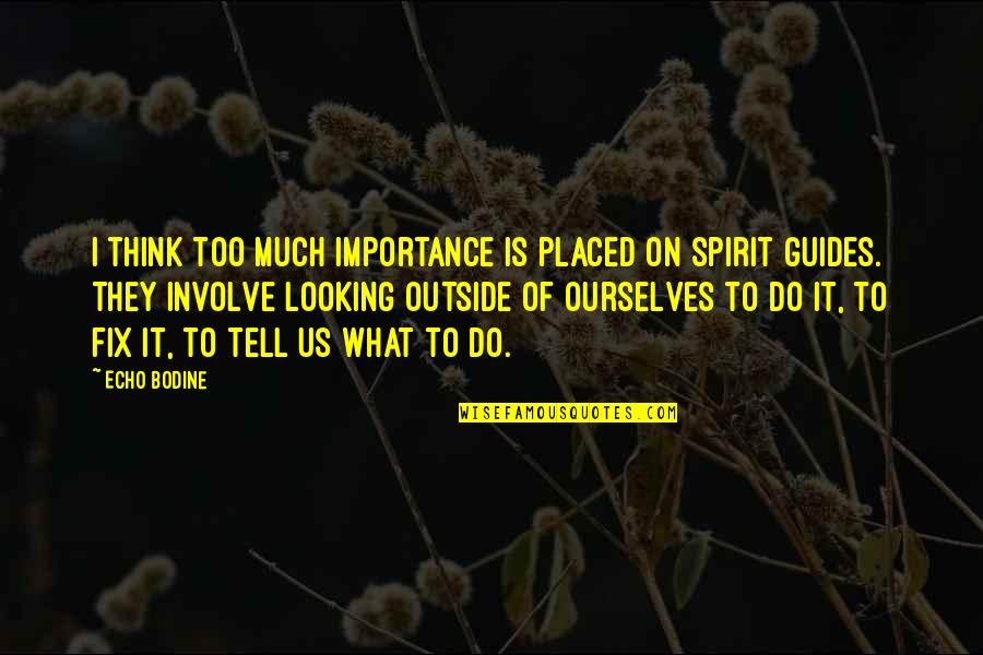 Partic'lar Quotes By Echo Bodine: I think too much importance is placed on